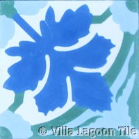 Cement tile from mexico