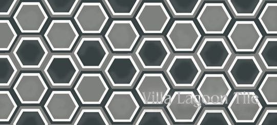 Frames hexagonal cement tile