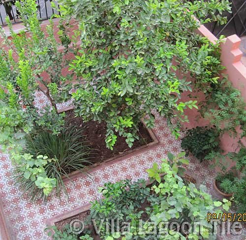 Tiled courtyard in Morocco