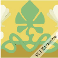 encaustic cement border tile sunny yellow