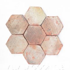 6" Hex Tumbleweed Terracotta Tile from Villa Lagoon Tile.