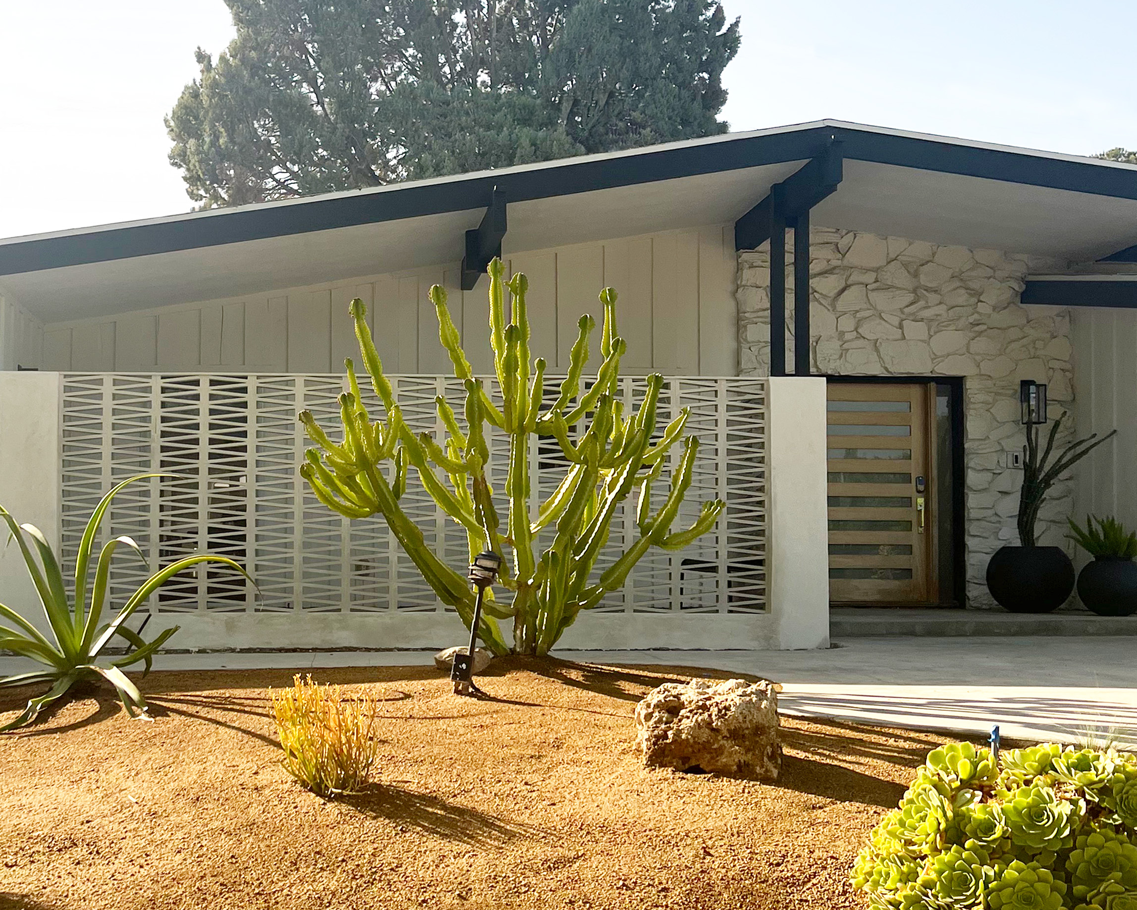 Desert Modern Ranch Landscaping Cactus White Breeze Block Screen